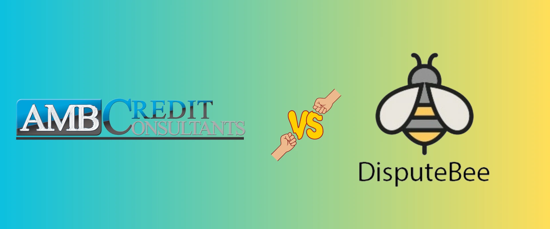 AMB Credit Consultants versus DisputeBee.com