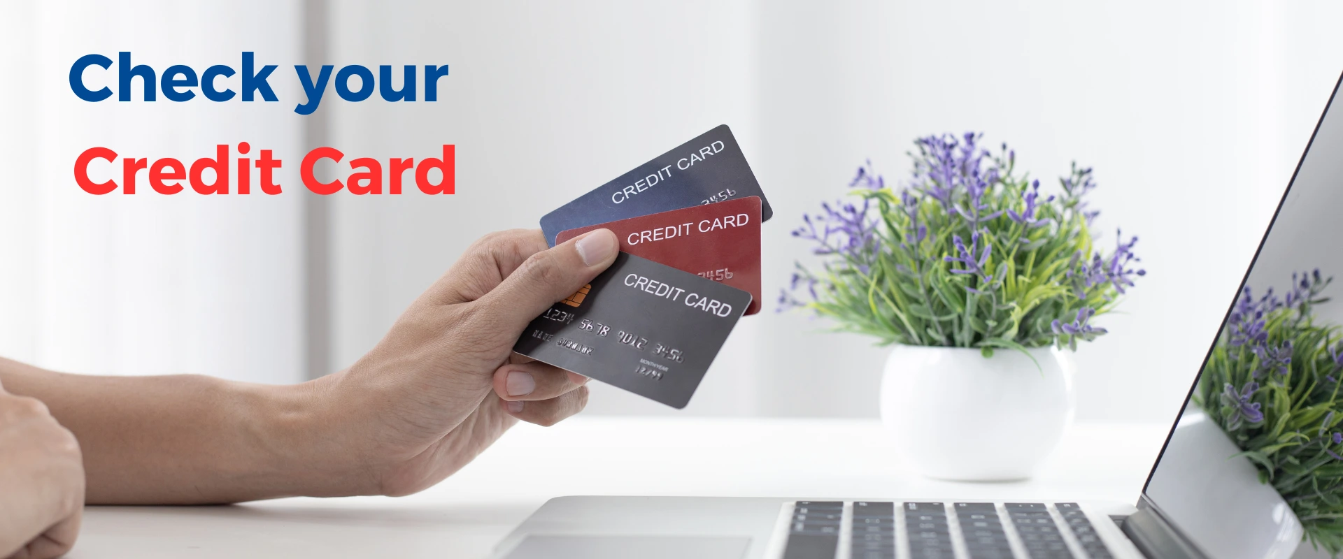 Check Your Credit Report