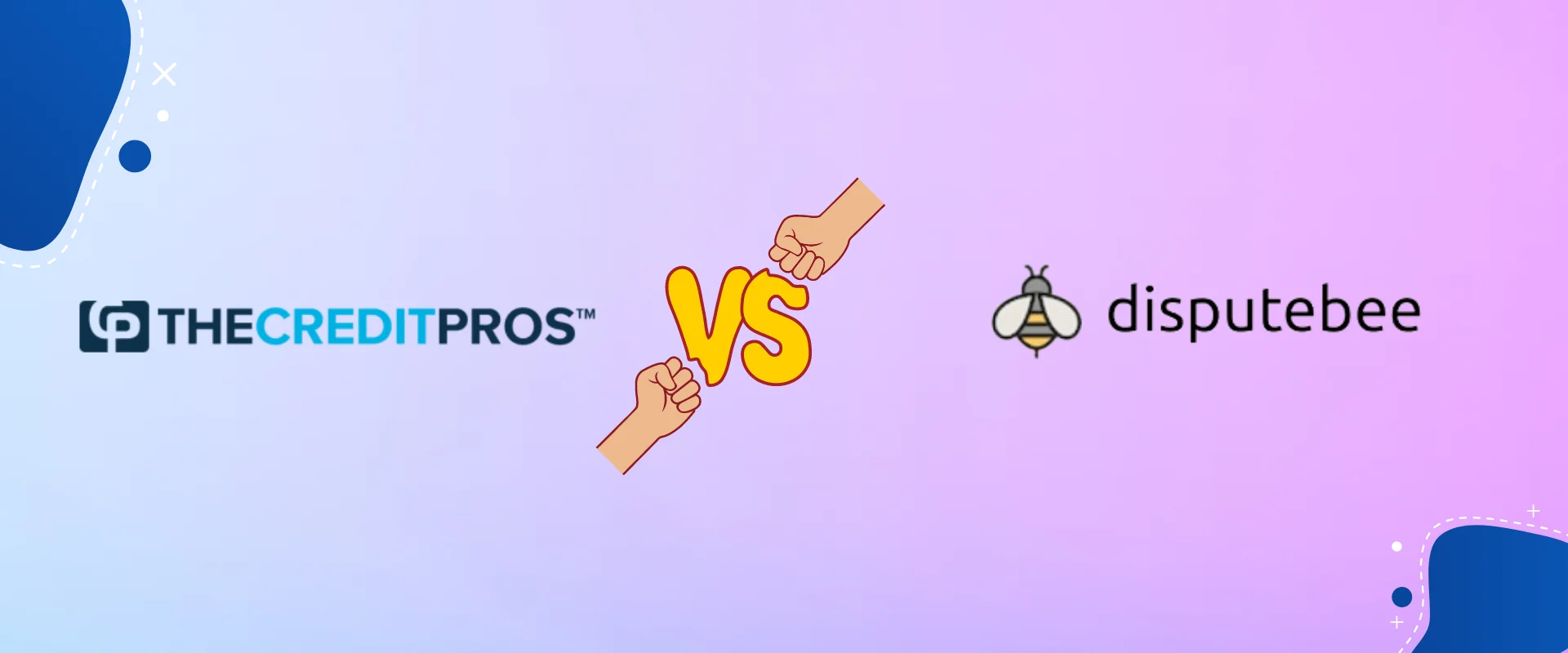 The Credit Pros vs. DisputeBee.com