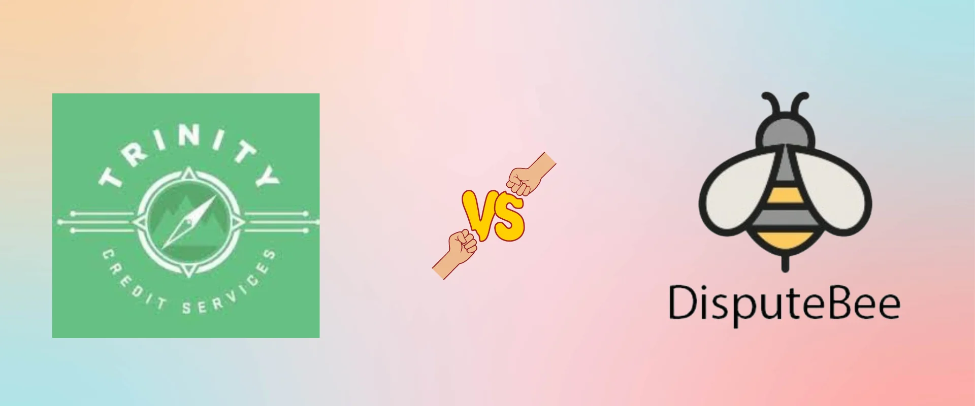 Trinity Credit Services vs. Dispute Bee